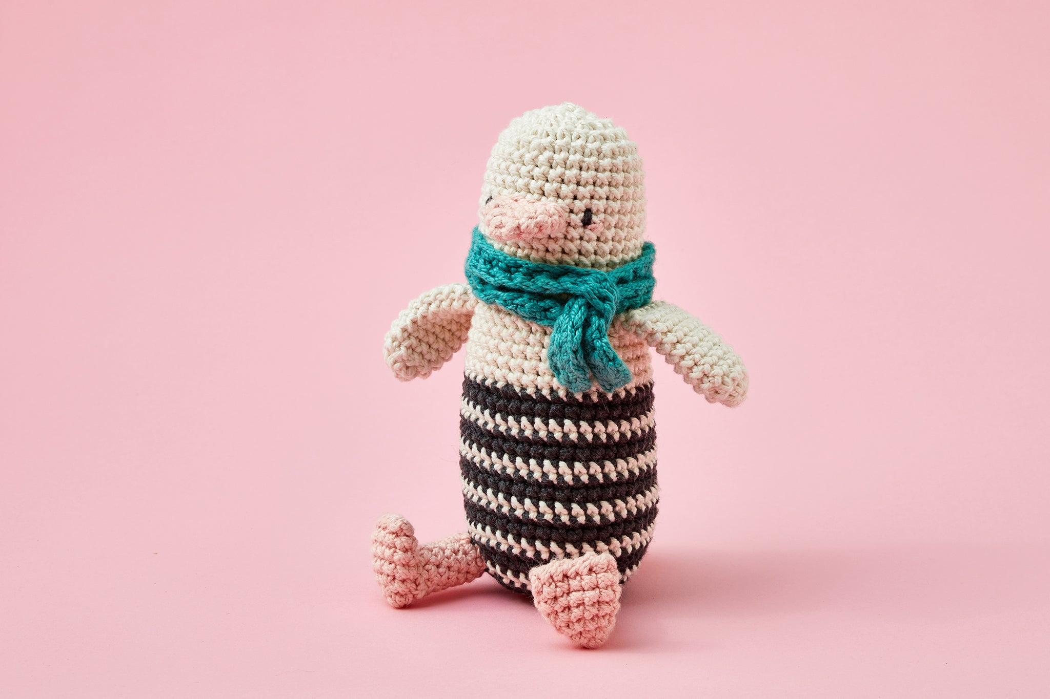 Mini Crochet Kit  EE Schenck Company