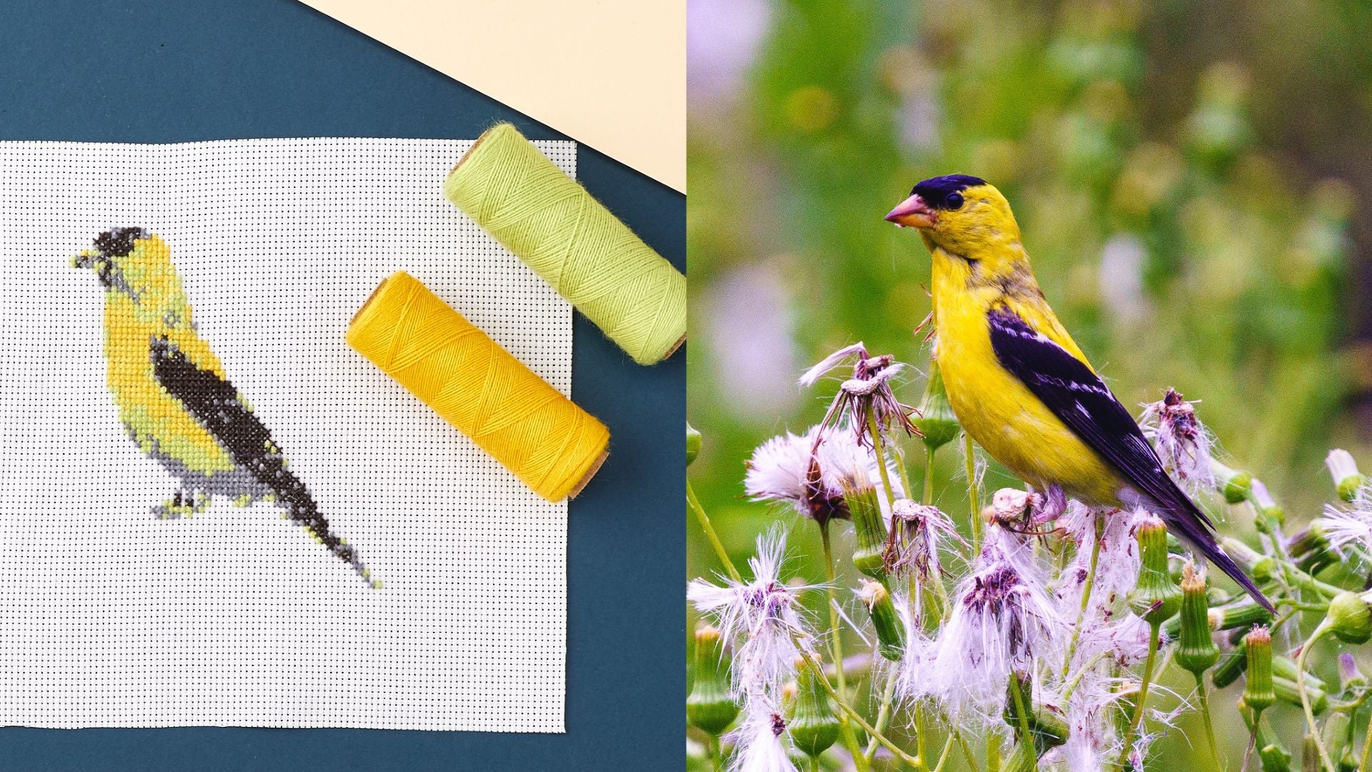 How To Adapt Photographs into Cross Stitch Patterns in FlossCross