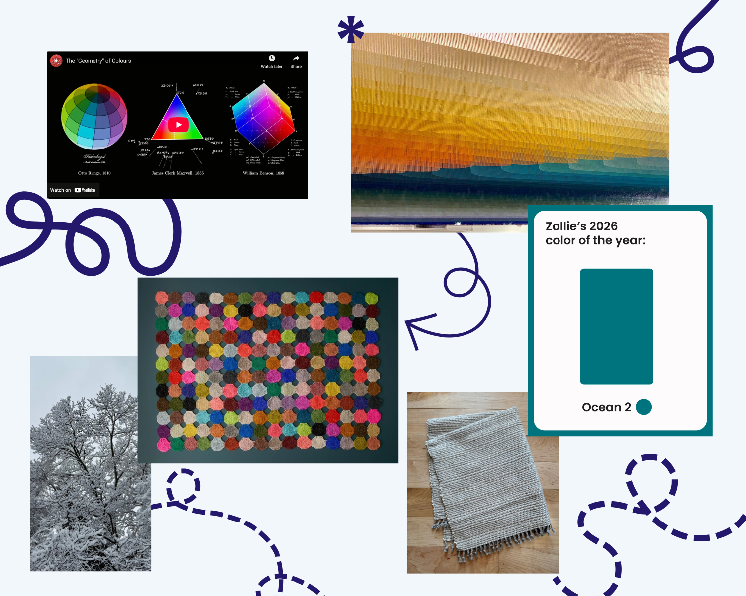 SCOUT ~ Zollie Newsletter #5