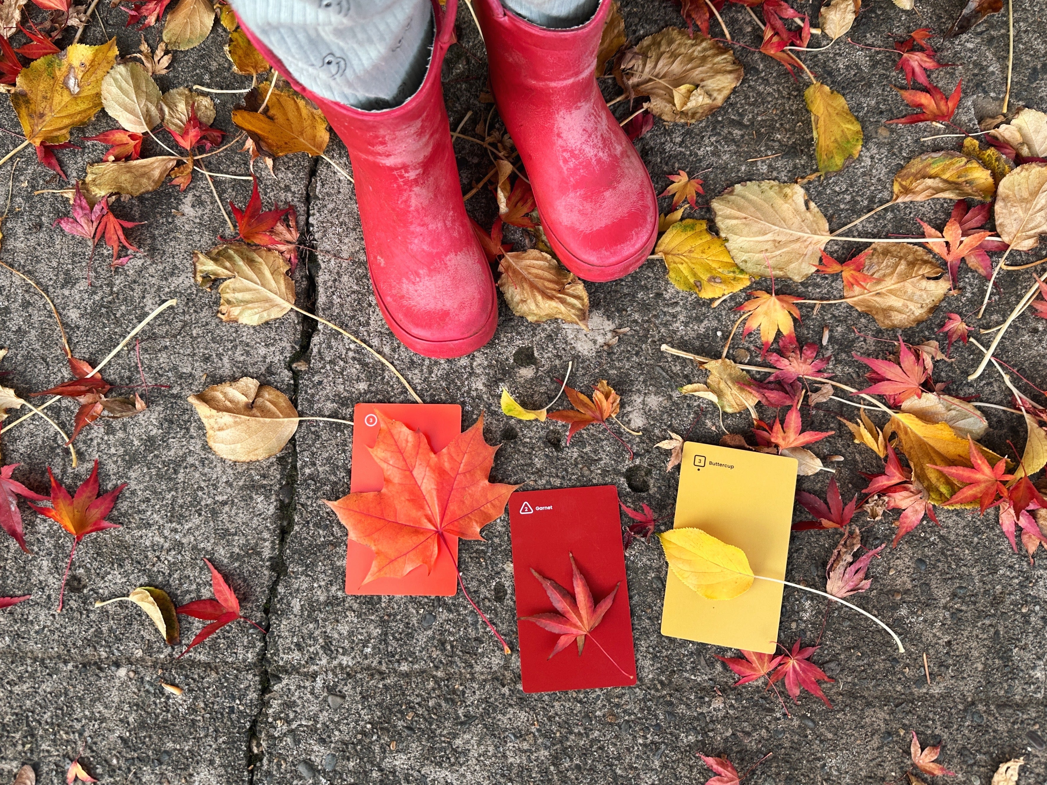Fall Palette Pack